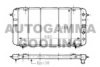 AUTOGAMMA 100881 Radiator, engine cooling